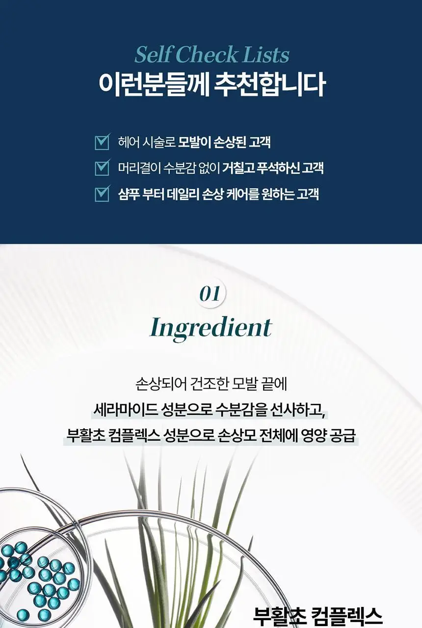 [손상 케어] 케라스타즈 방 포스 아키텍트 샴푸 리필 500ml 상세페이지 4